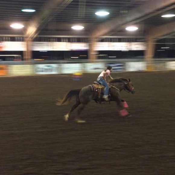 Meet your Posher, Chandler - Picture 1 of 1